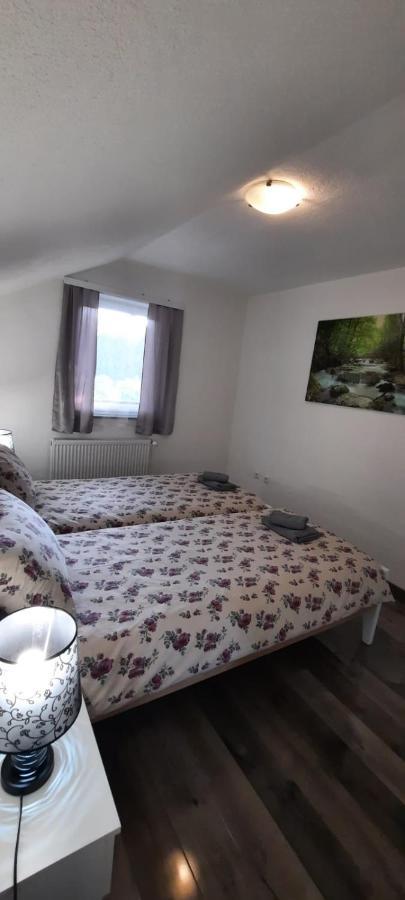 Apartman Karolina Rudanovac Extérieur photo